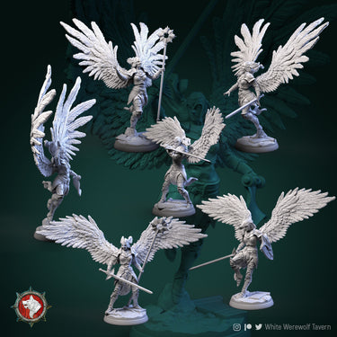 Valkyrie Bundle